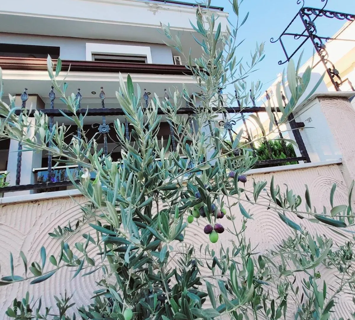 Izmir Oezdere Yazlik Villa Turkey